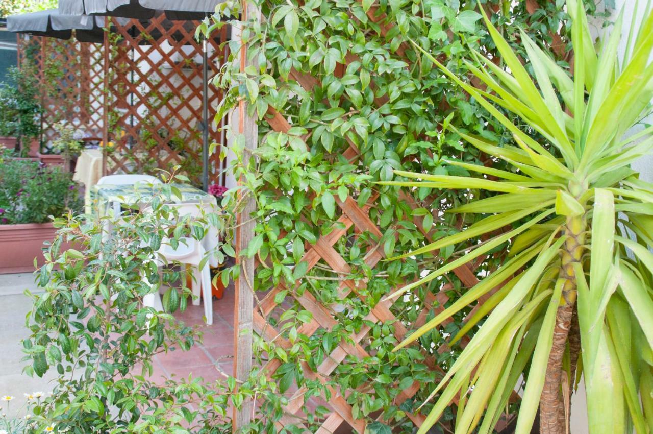 B&B Sikily Naxos Giardini-Naxos Exterior foto